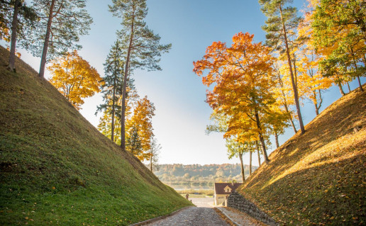 8_Veliuonos piliakalni+ kompleksas (2).jpg